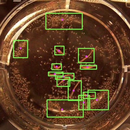 Large objects in a dish found with bounding boxes and centers